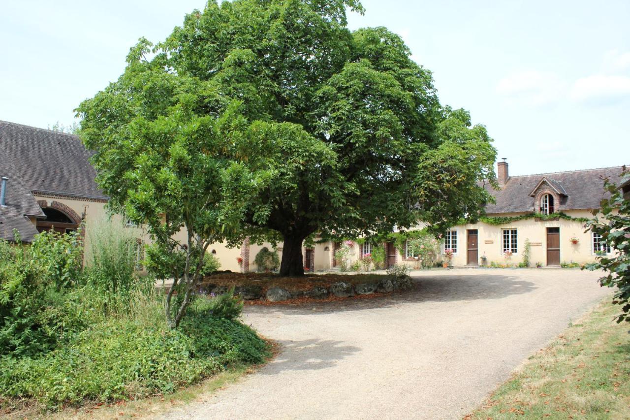 Gite Des Etangs De Beaulieu Le Plessis-Dorin Esterno foto