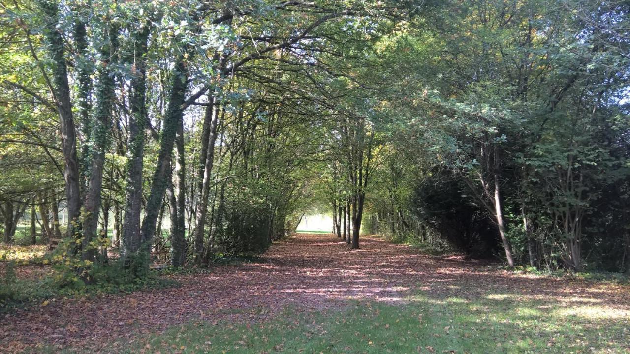 Gite Des Etangs De Beaulieu Le Plessis-Dorin Esterno foto
